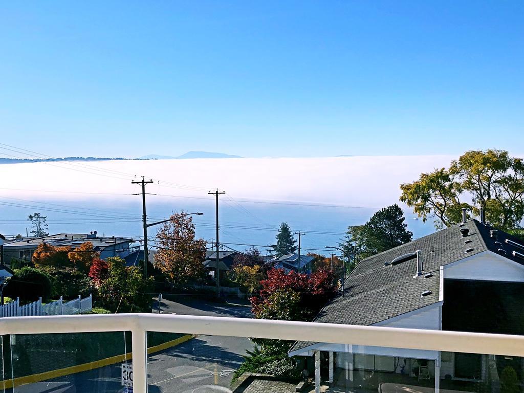 Star Of The Sea Guest house